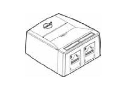 Настінний блок Synergy 2P DG+C6, UTP SSY-00007-02