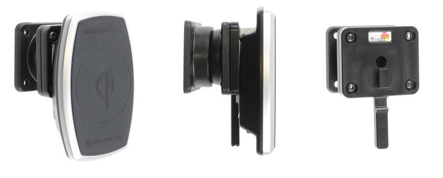 Mount with tilt swivel