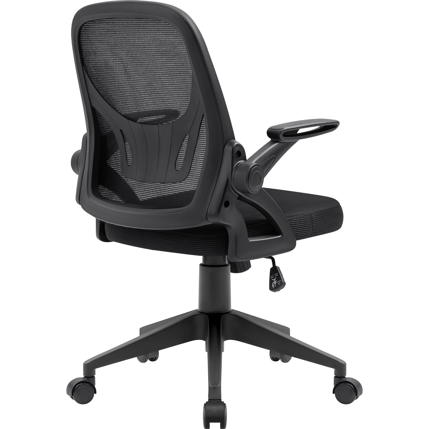 Image 4