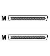 Main