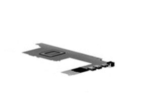 Main