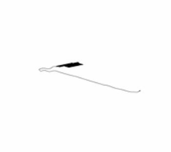 Cbiantenna