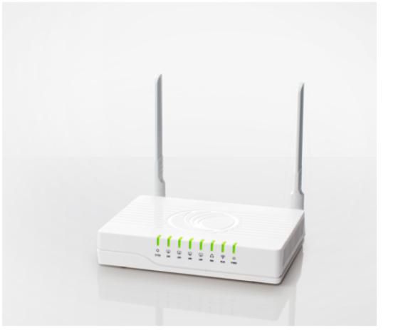 cnPilot R190V Router (EU)