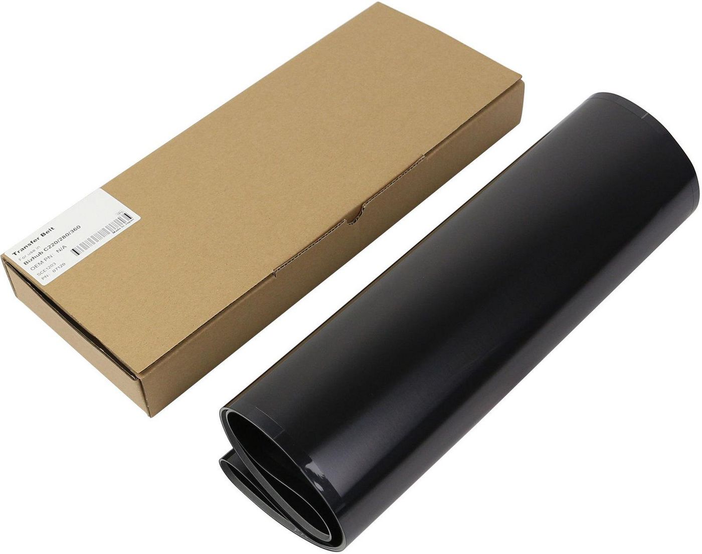 Transfer Belt