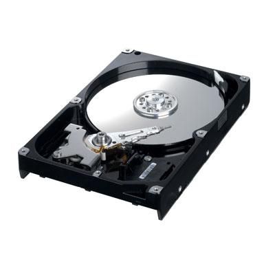 250GB SATA300 7200RPM HDD