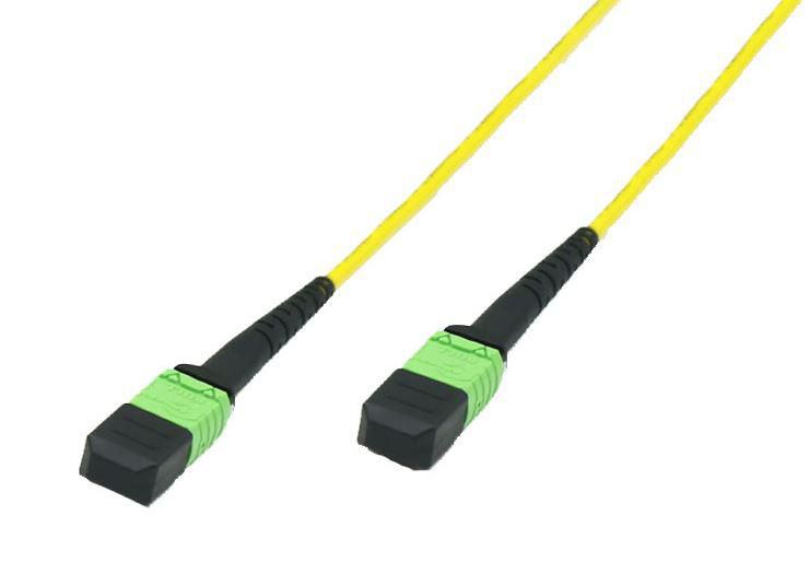 Fiber Patch Cable - MTP - MTP 