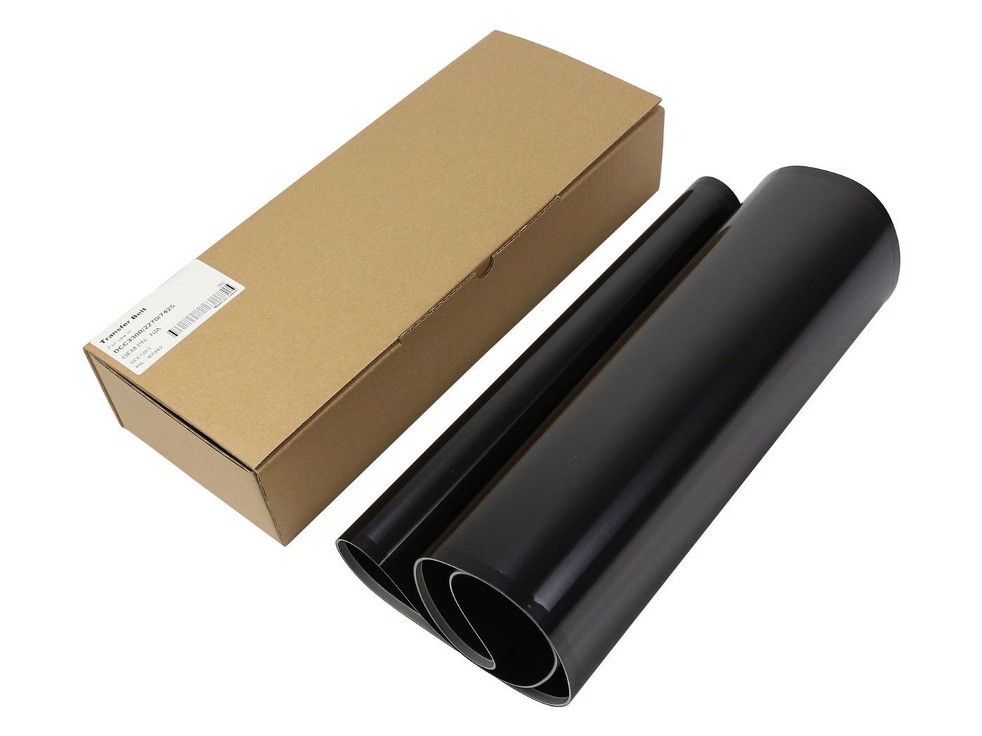 Transfer Belt