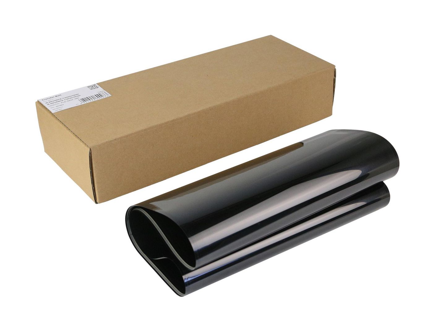 Transfer Belt