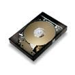 40GB Hard Drive (Desktop