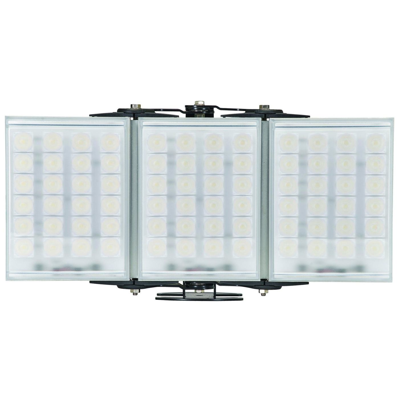 RAYLUX 300,