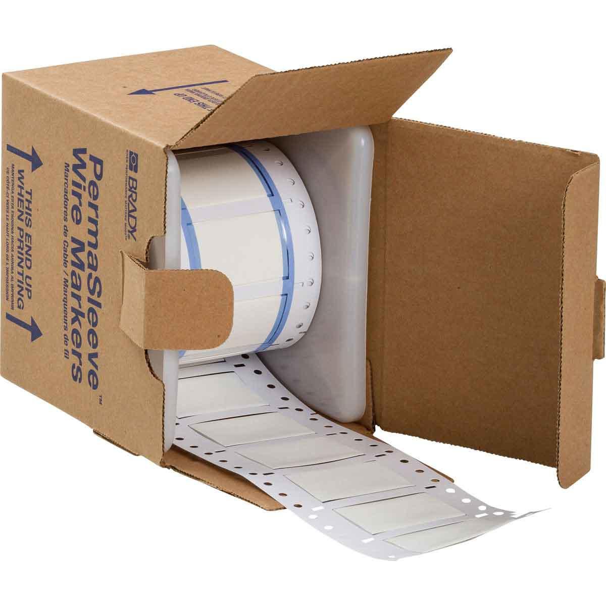 Main