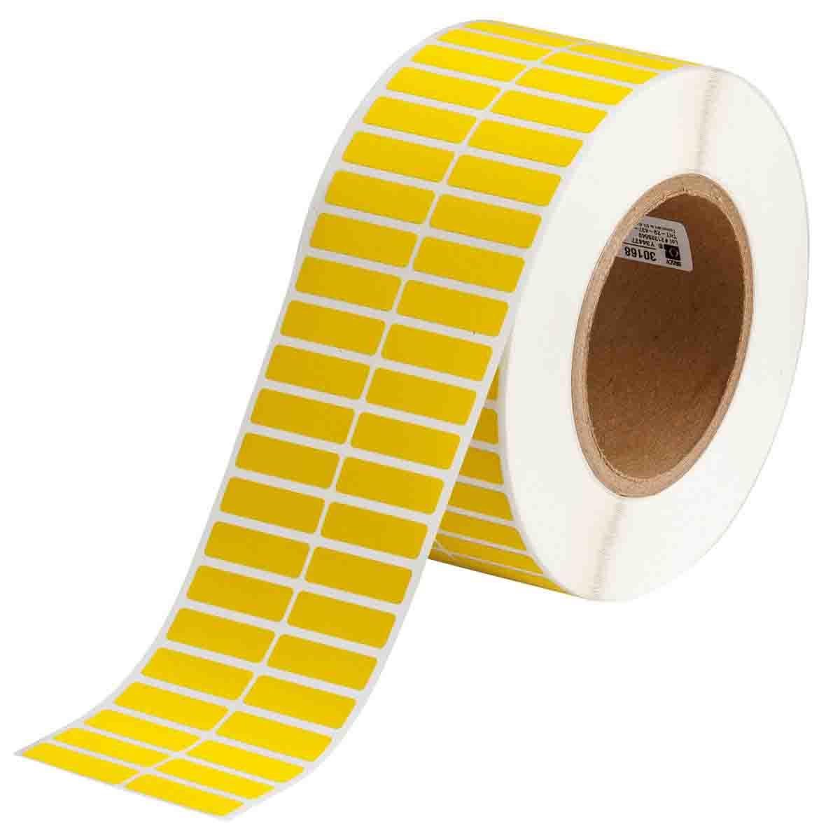 Main