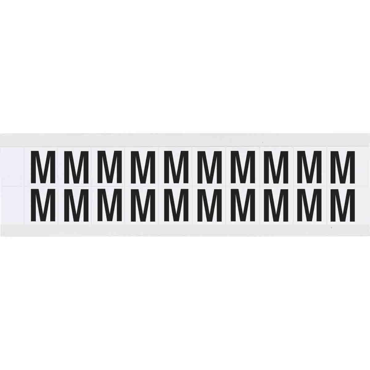 Main