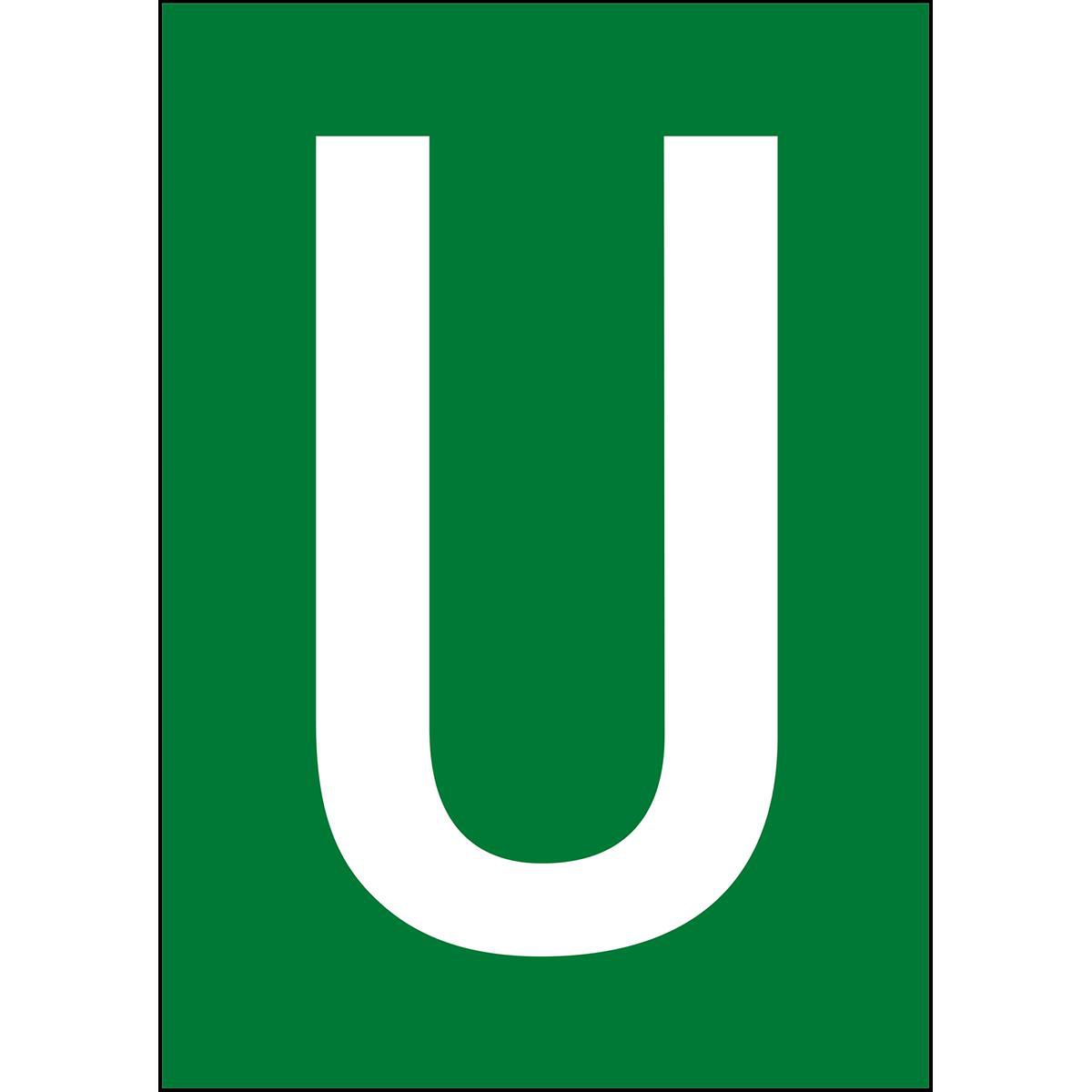 Main