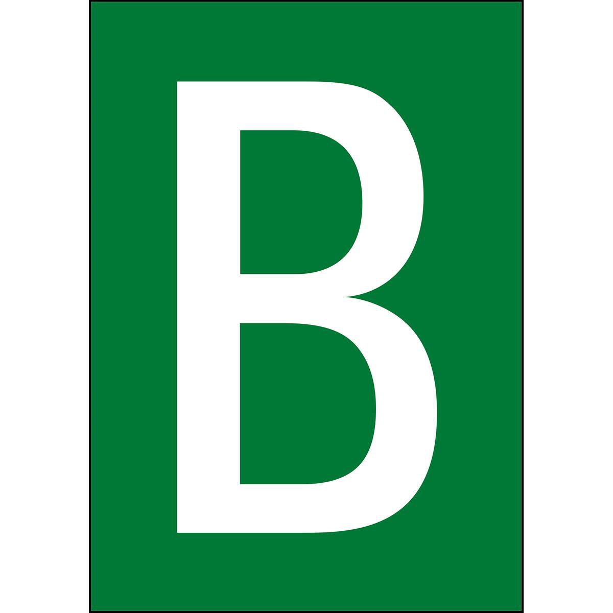 Main