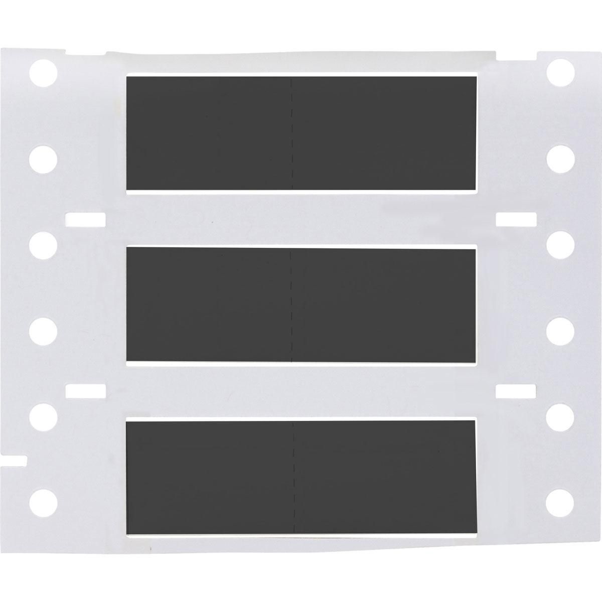 Main