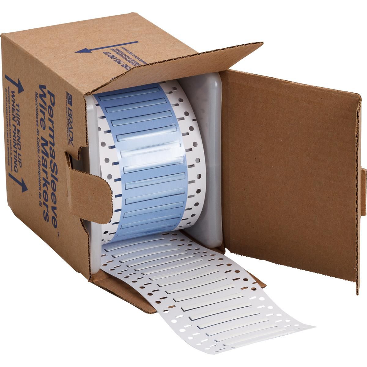 Main