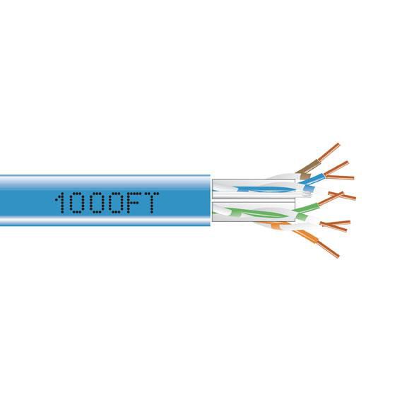 Main
