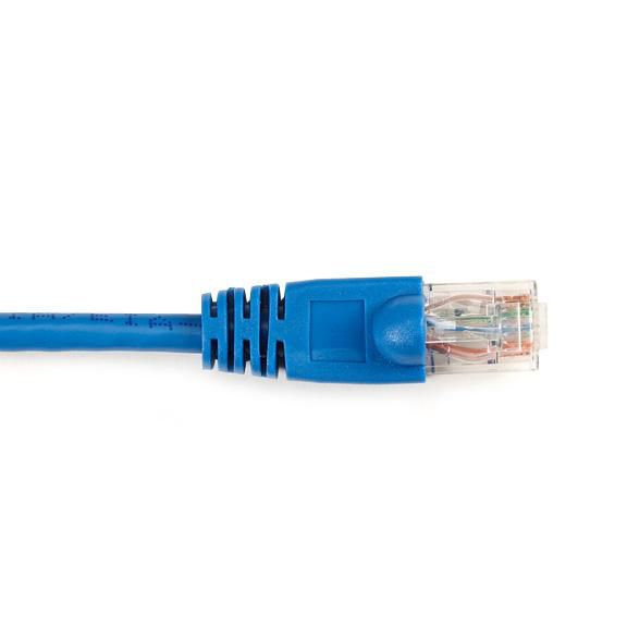 Main