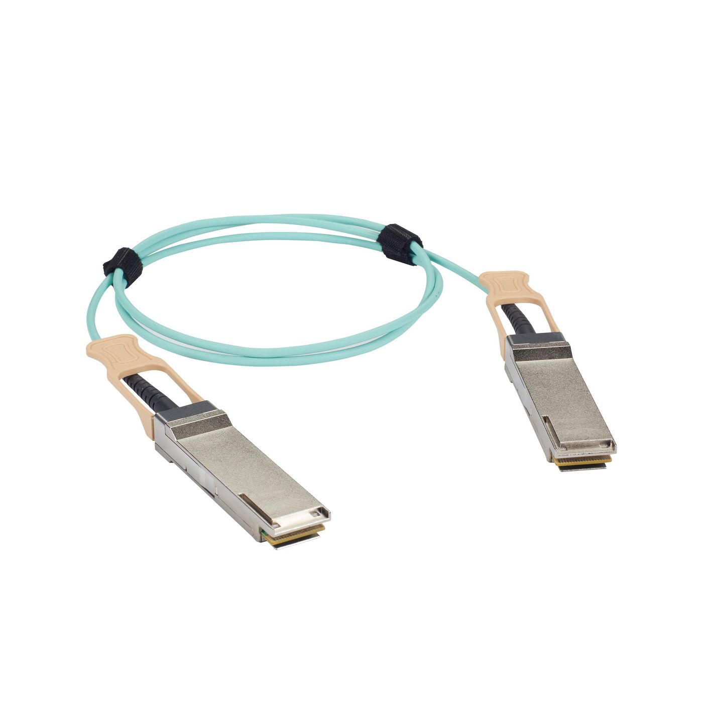 Main