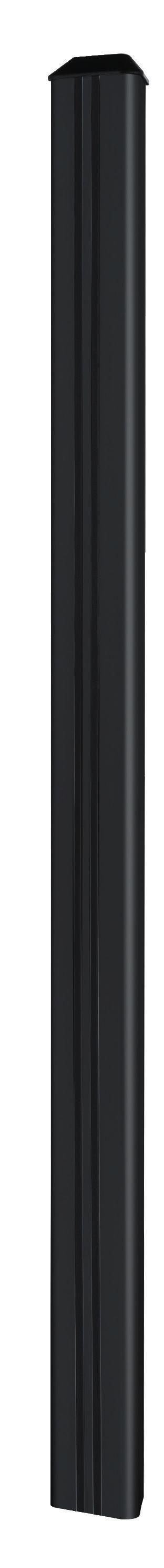 Main