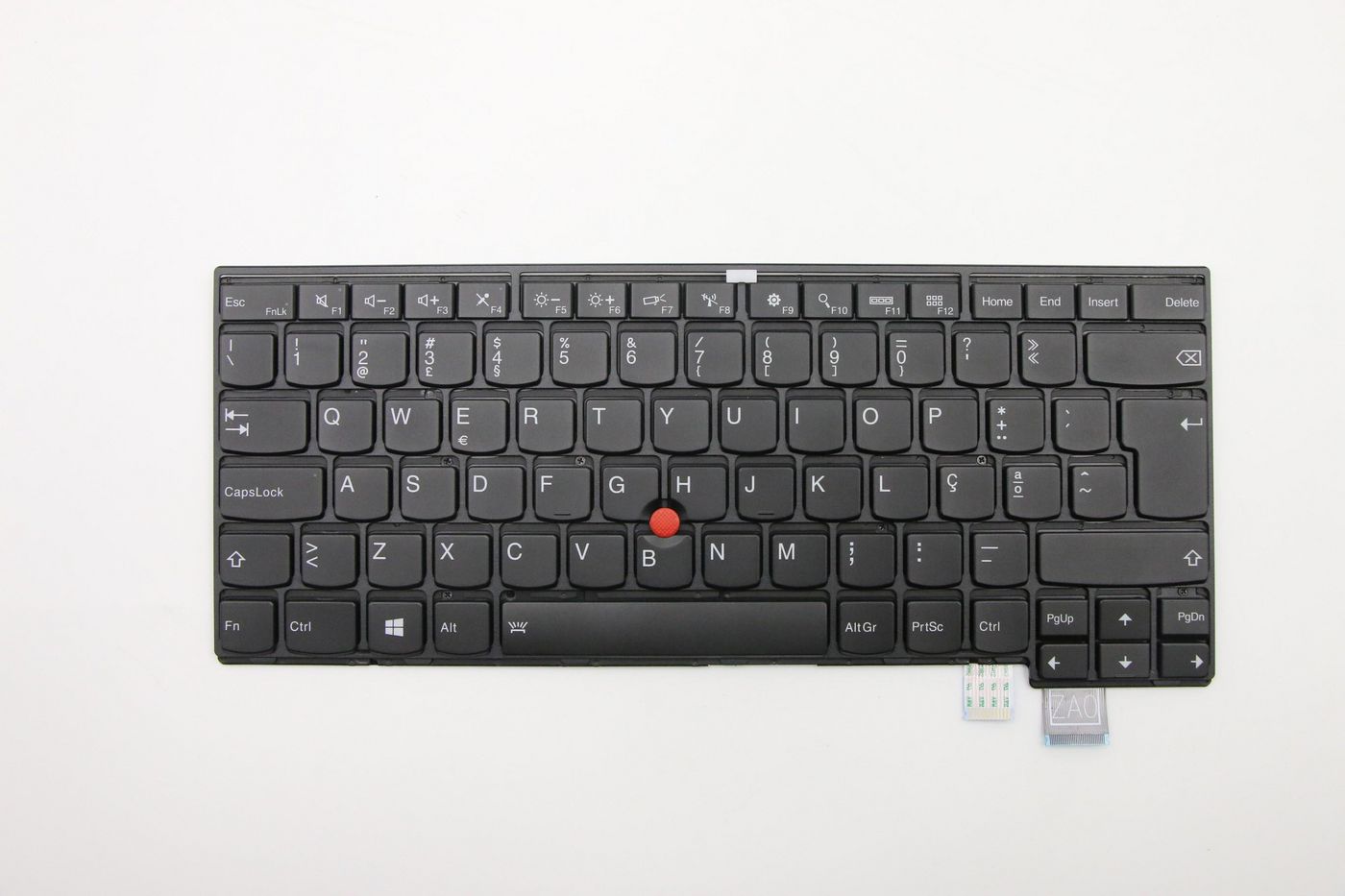 Thorpe KBD Portuguese Darf