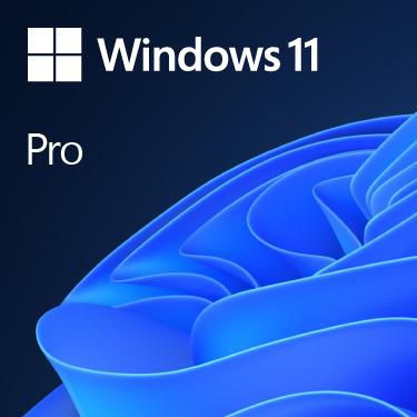 Windows 11 Pro UK
