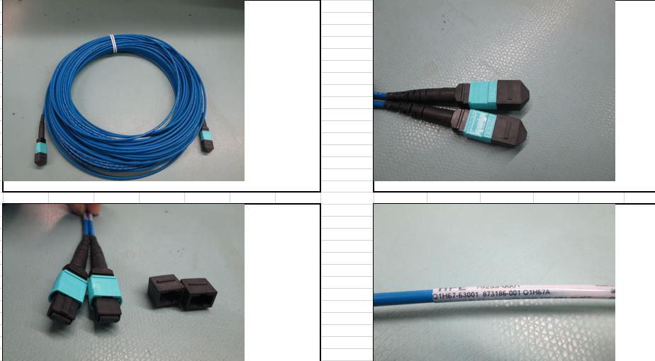 12F MPO to MPO OM4 multimode 