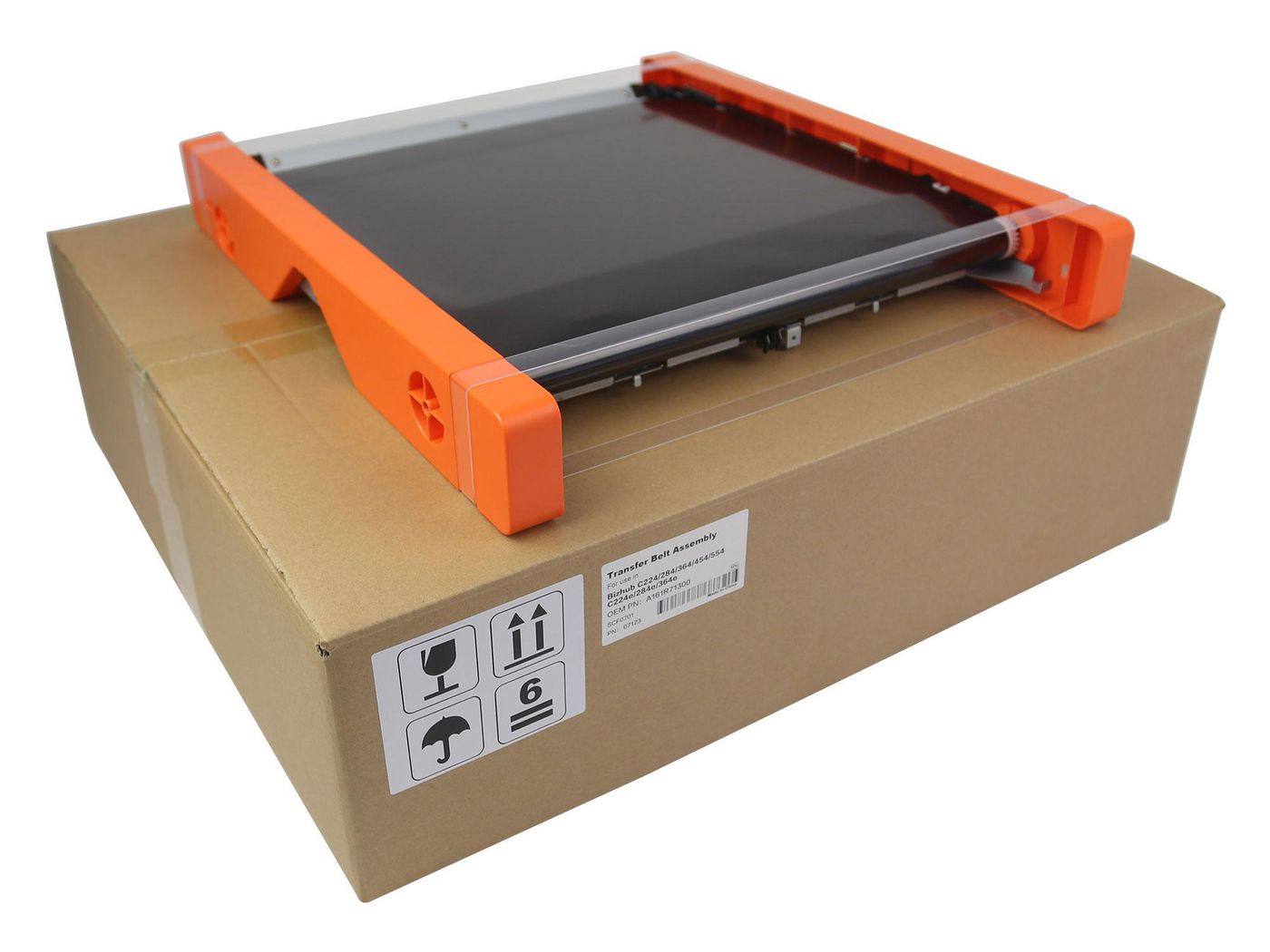Transfer Belt Assembly