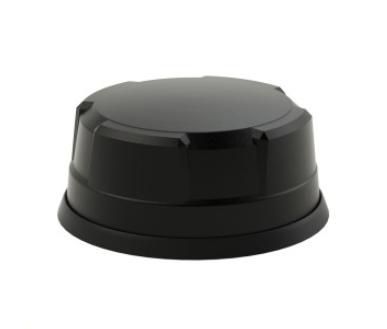 Main
