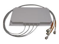 Network Antenna Directional 