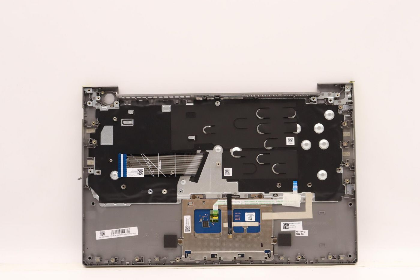 Main
