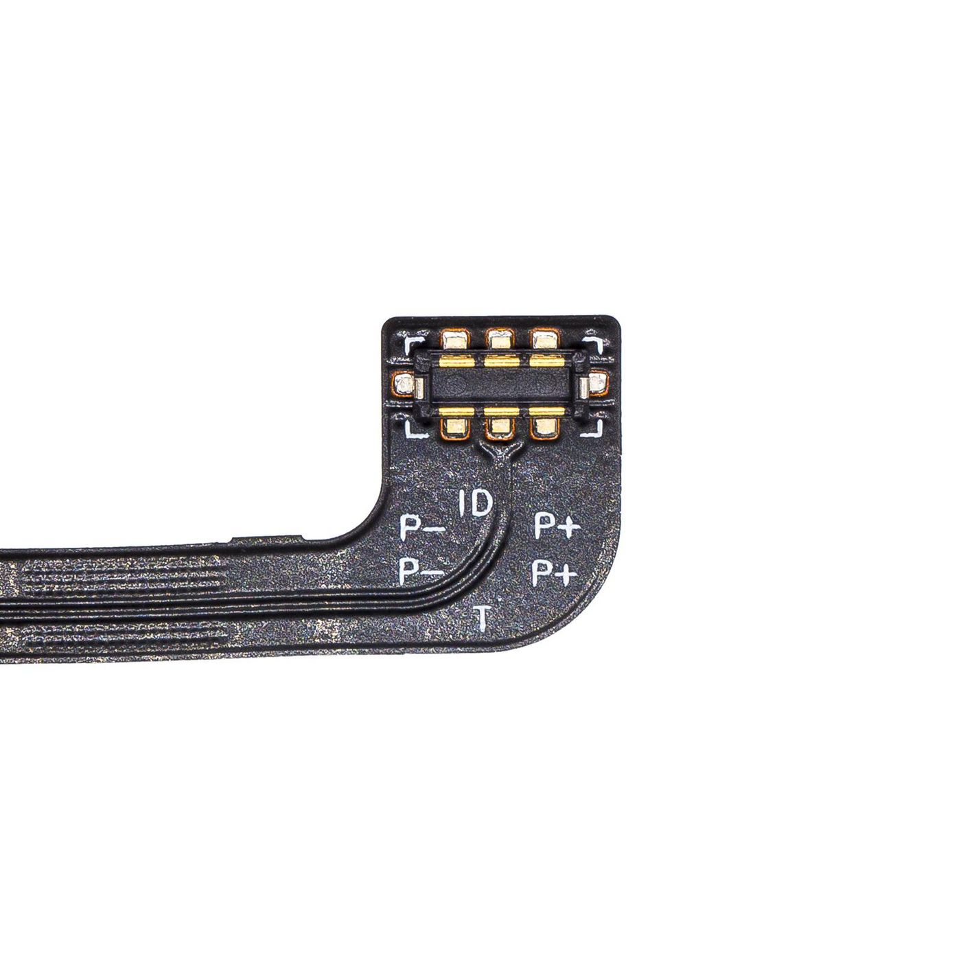 Main