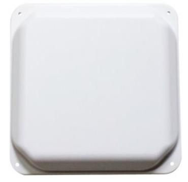 Main