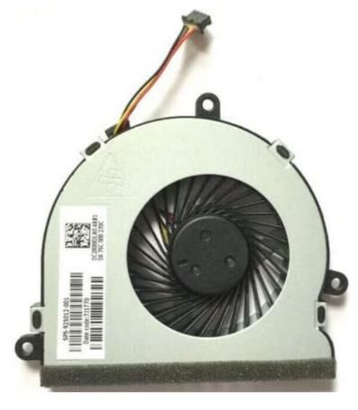 Fan