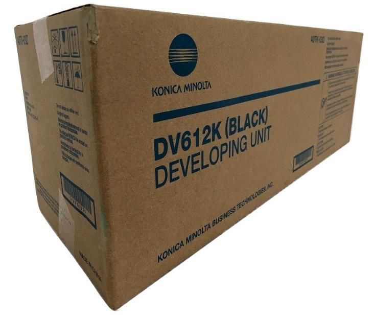 Developing Unit