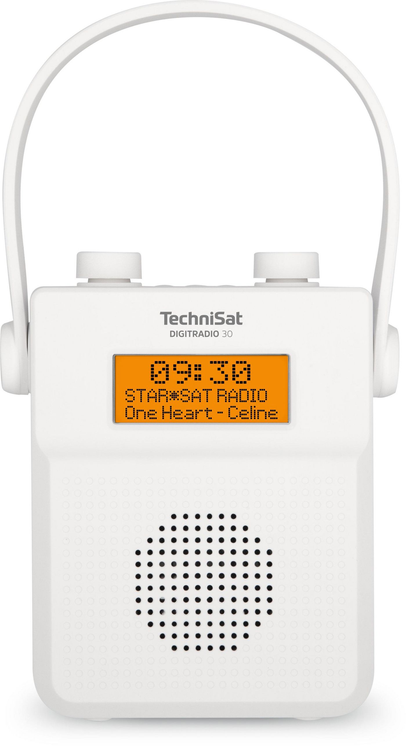 Digitradio 30 Portable Analog 