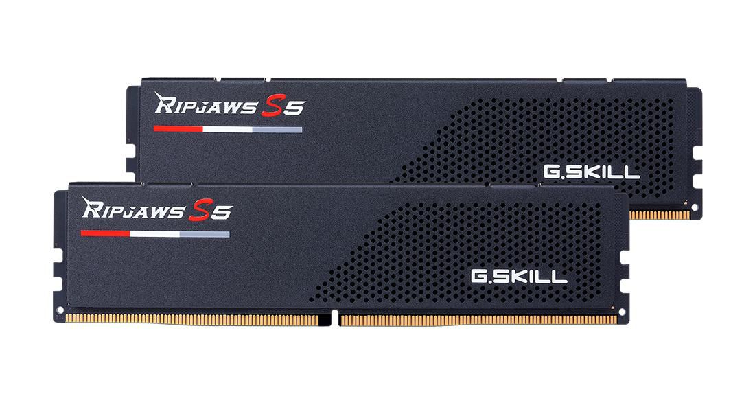 Ripjaws S5 Memory Module 32 