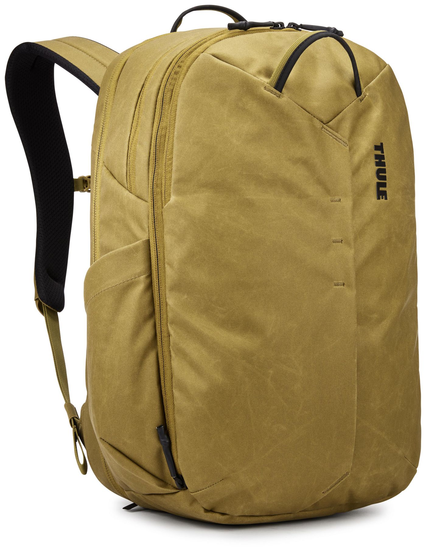 Aion Tatb128 - Nutria 