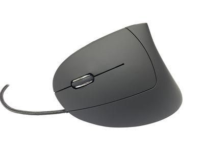 Main