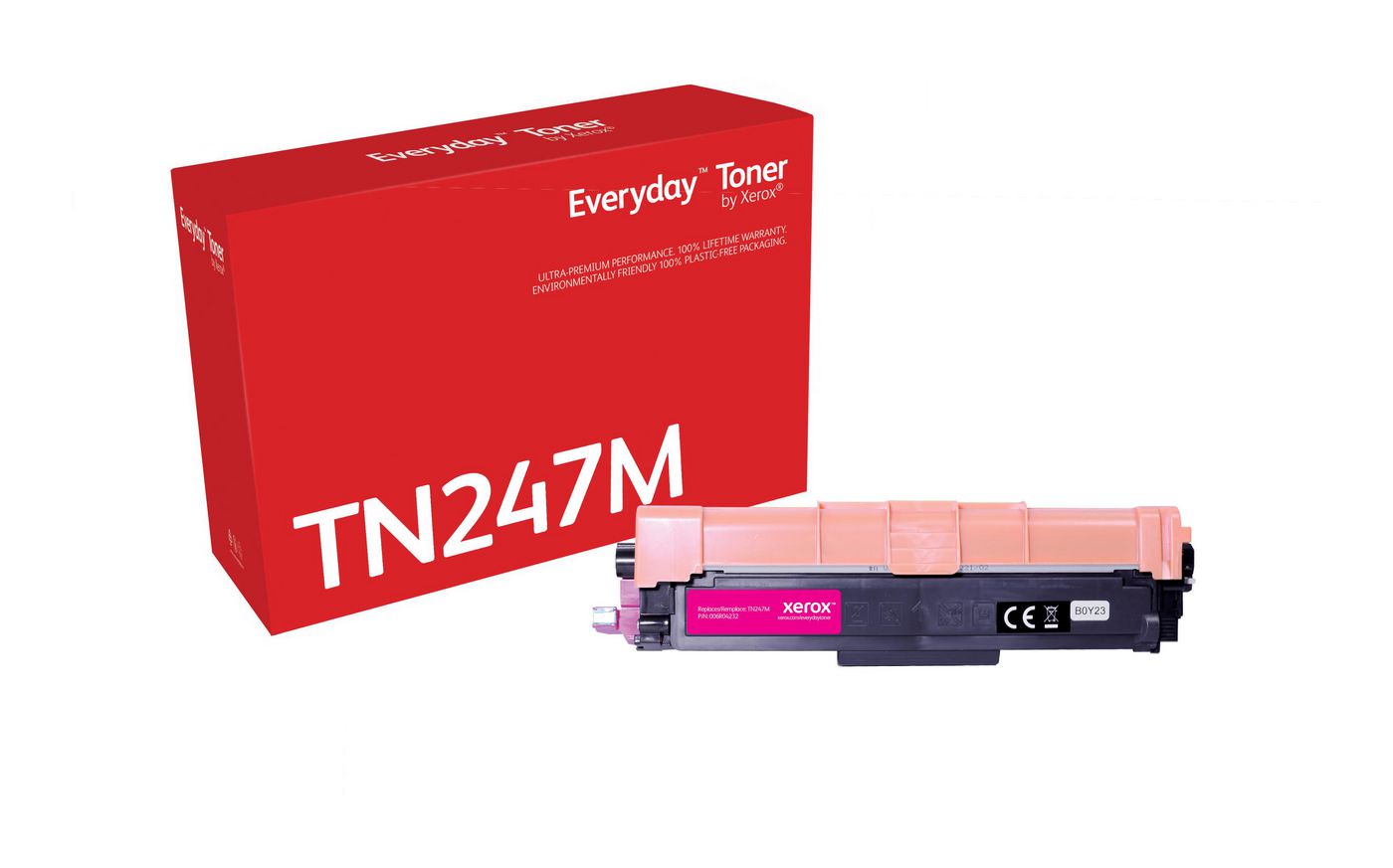 Main