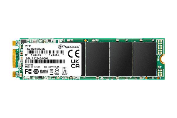 Main