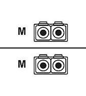 Main