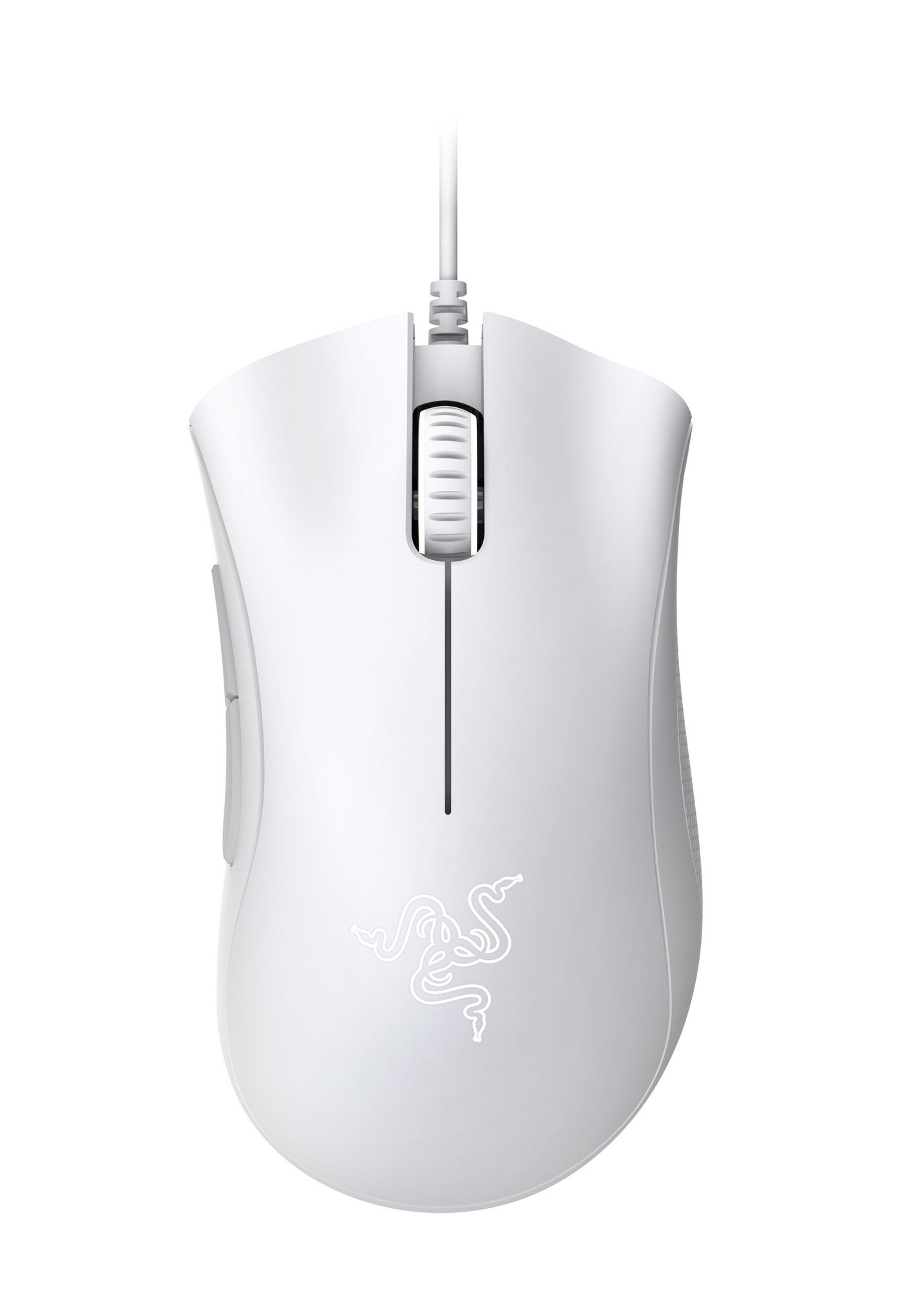 Main