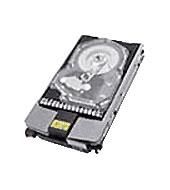 250GB hot-swap dual-port FC