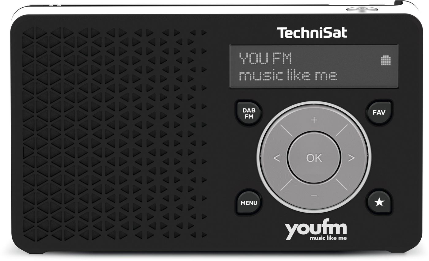 Digitradio 1 Portable Analog 