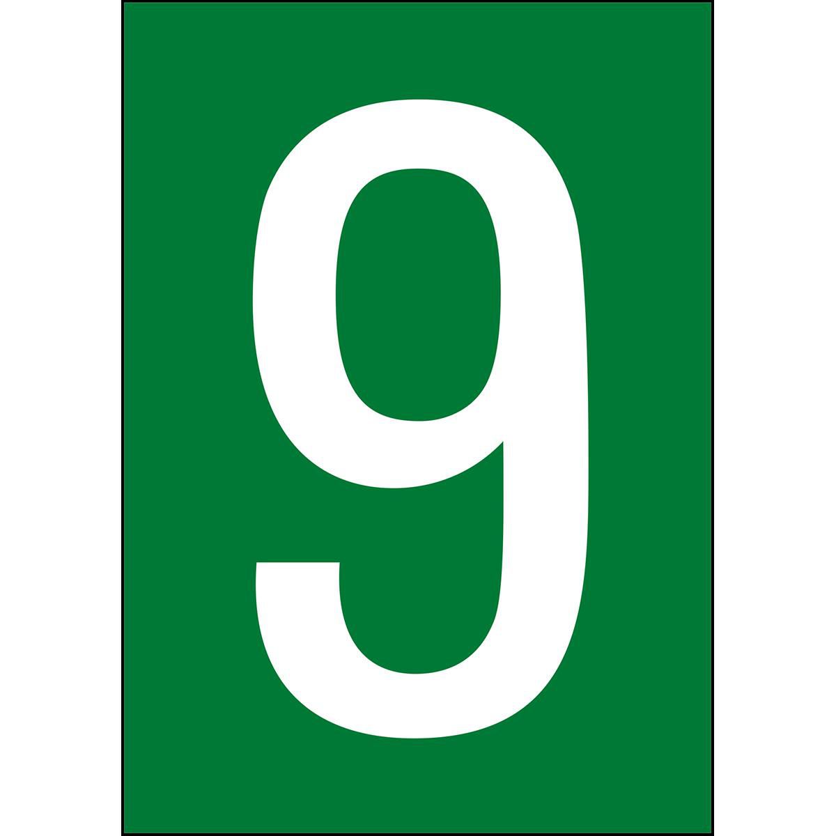 Main