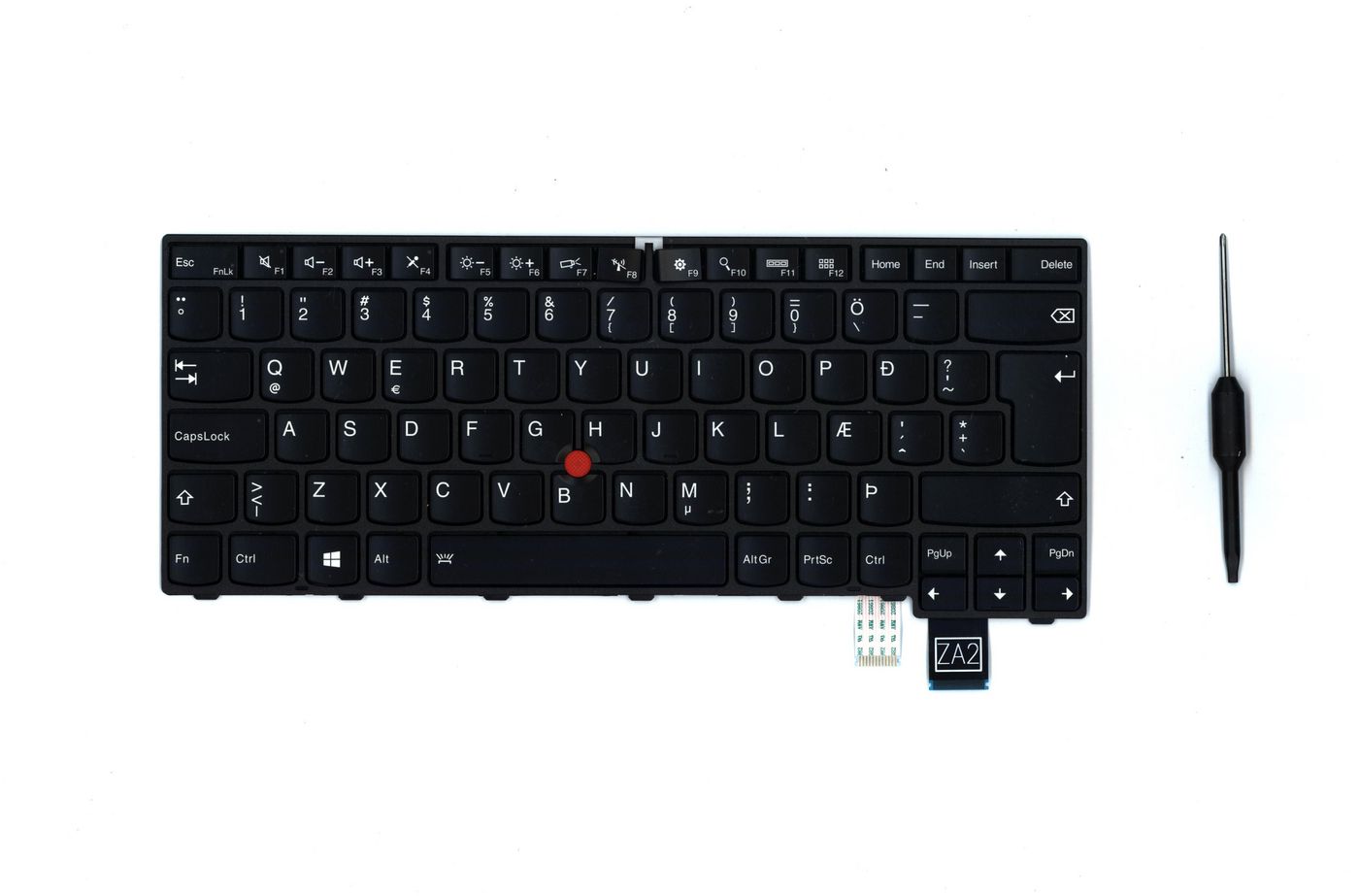 NB_KYB Taylor KBD IS DFN BL