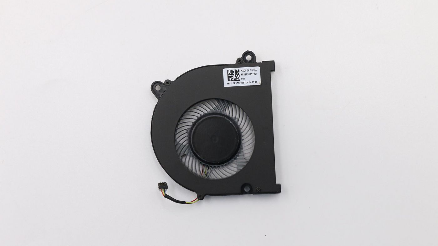 Fan