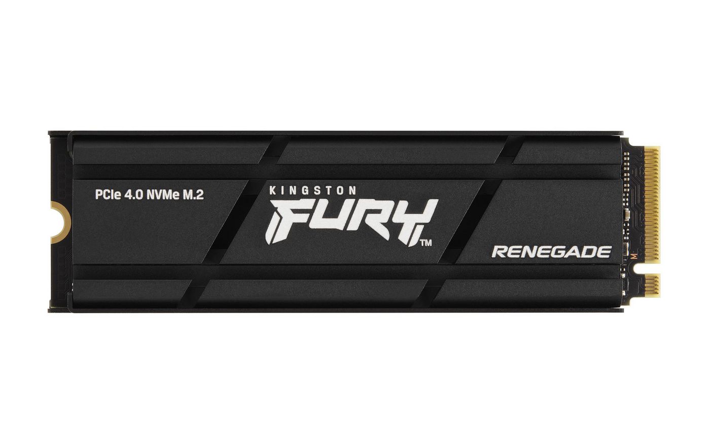 1000G FURY RENEGADE W/
